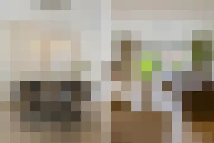 Kruiskamplaan 146 Uitgeest thumbnail 5