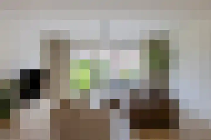 Kruiskamplaan 146 Uitgeest thumbnail 6