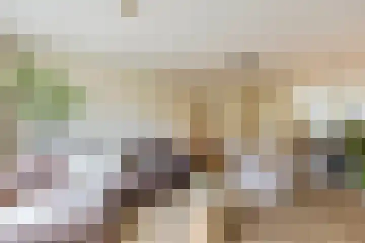 Kruiskamplaan 146 Uitgeest thumbnail 8