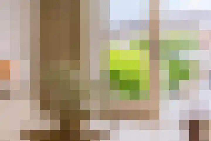Kruiskamplaan 146 Uitgeest thumbnail 9