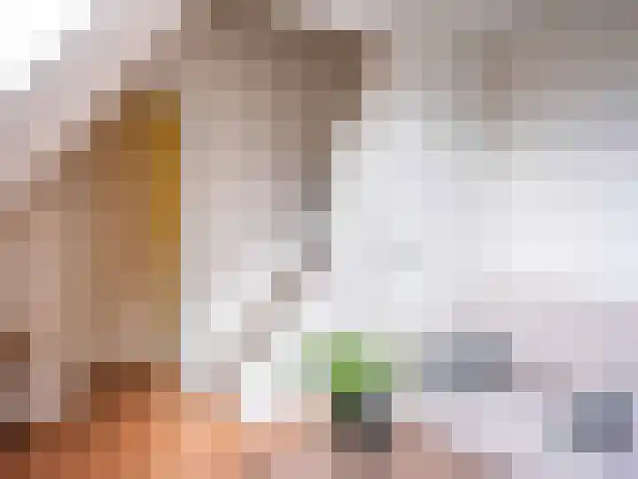 Kruiskamplaan 151 Uitgeest thumbnail 19
