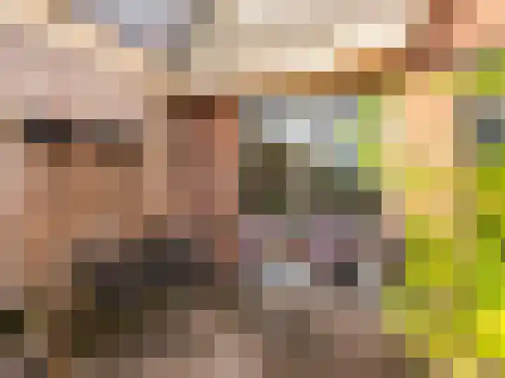 Kruiskamplaan 151 Uitgeest thumbnail 26
