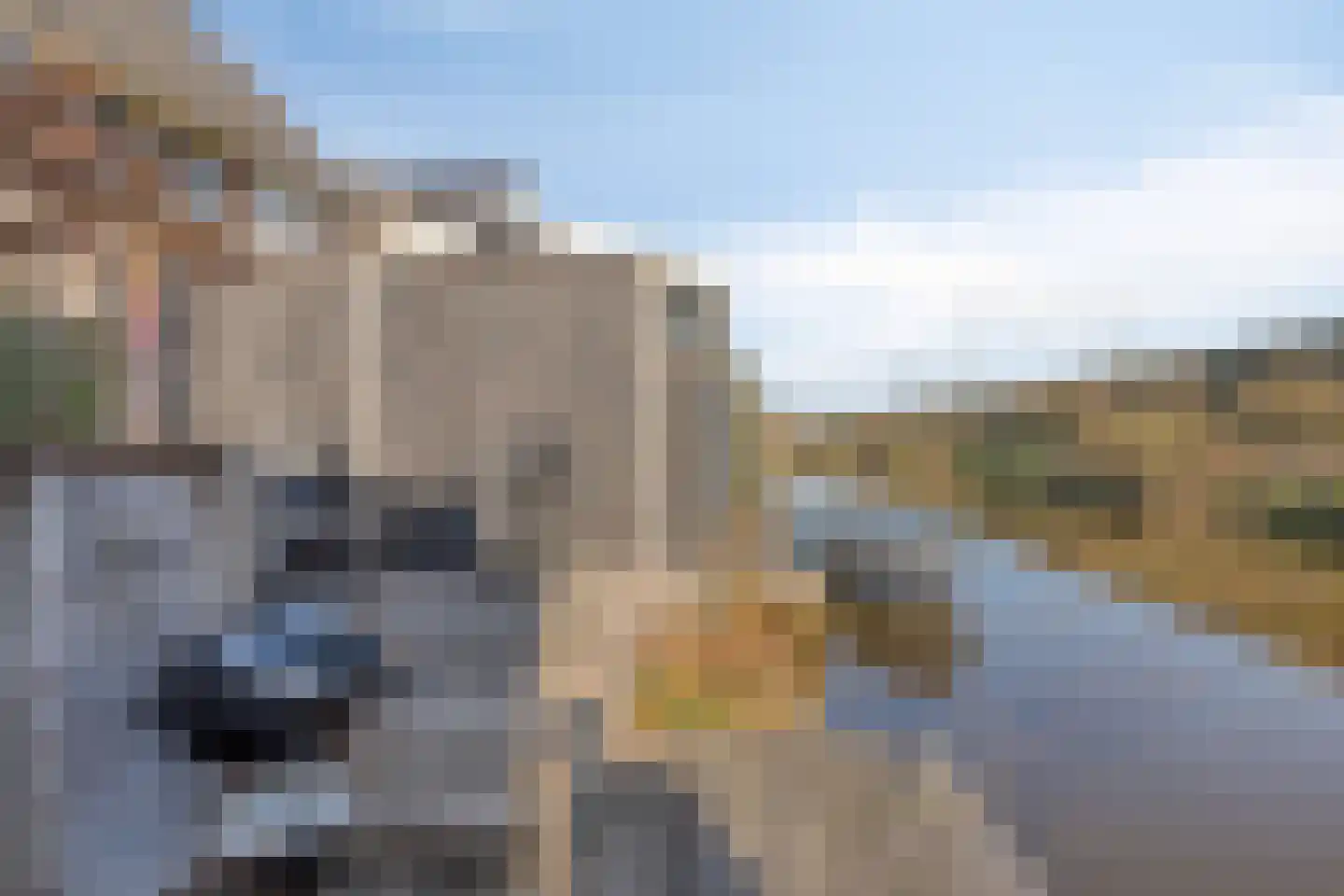 Kruiskamplaan 157 Uitgeest thumbnail 39