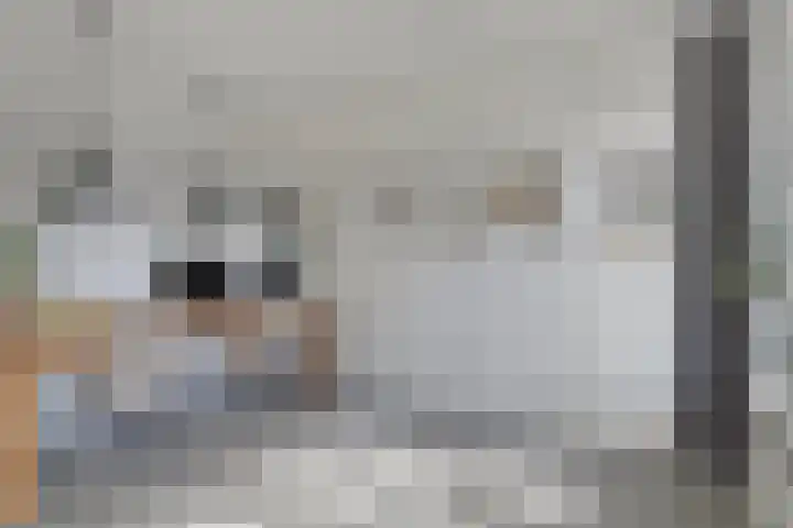Kruiskamplaan 161 Uitgeest thumbnail 10