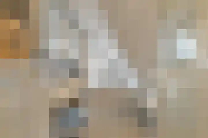 Kruiskamplaan 161 Uitgeest thumbnail 13