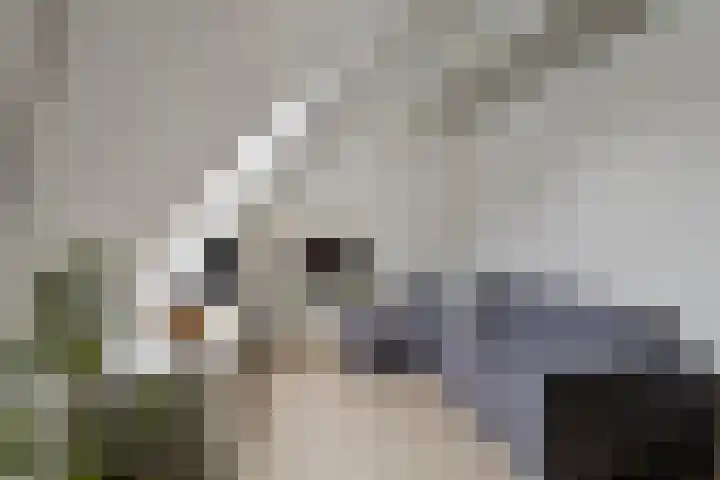 Kruiskamplaan 161 Uitgeest thumbnail 20