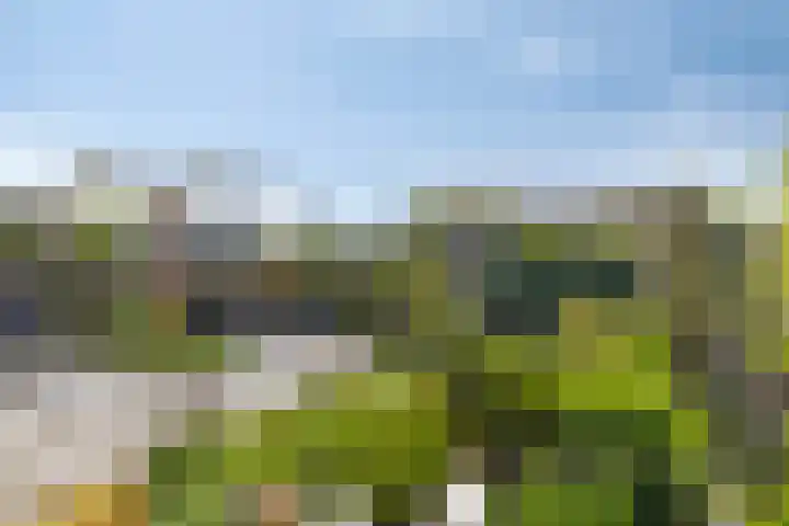 Kruiskamplaan 161 Uitgeest thumbnail 23
