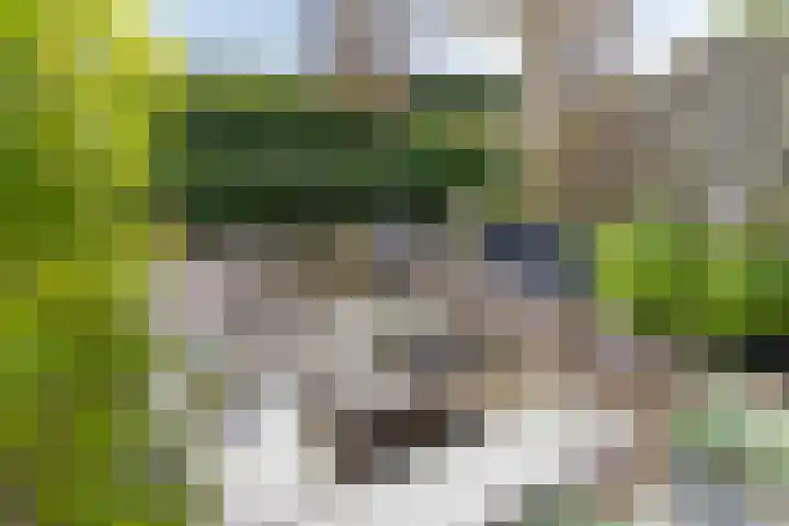 Kruiskamplaan 161 Uitgeest thumbnail 25