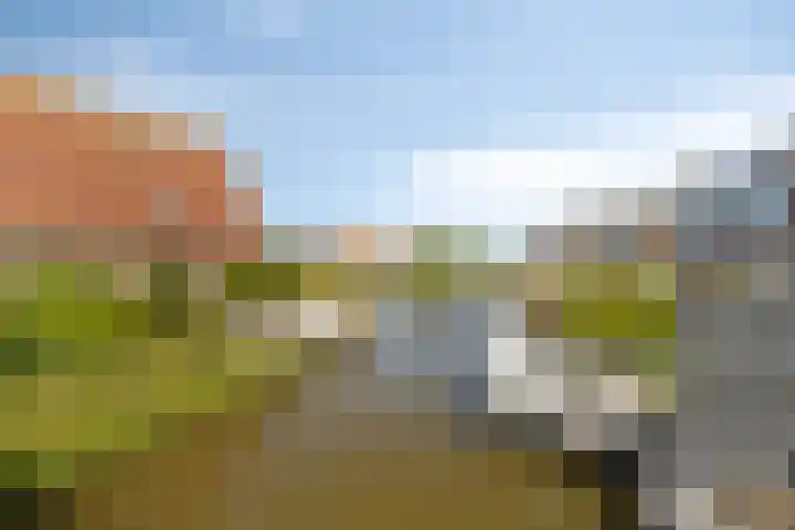 Kruiskamplaan 161 Uitgeest thumbnail 26