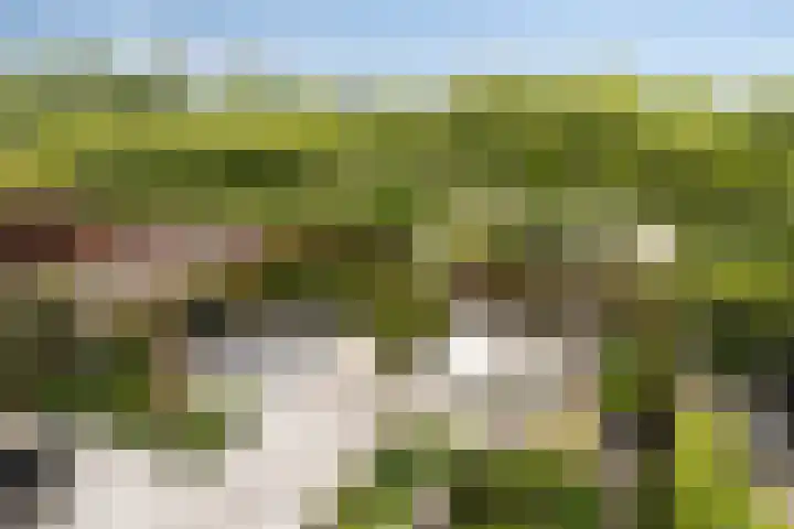 Kruiskamplaan 161 Uitgeest thumbnail 28