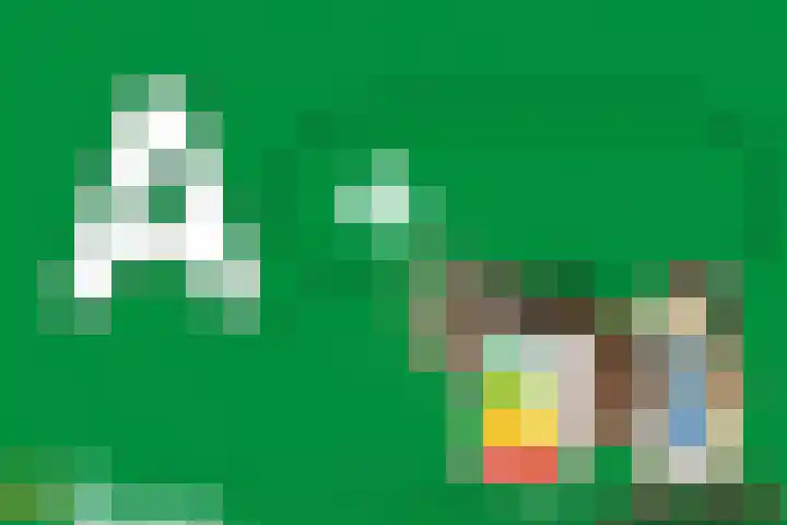 Kruiskamplaan 161 Uitgeest thumbnail 4
