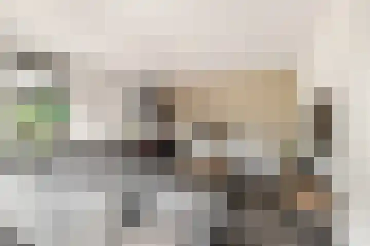 Kruiskamplaan 168 Uitgeest thumbnail 14