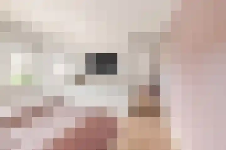 Kruiskamplaan 168 Uitgeest thumbnail 24