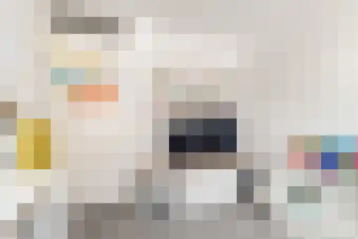 Kruiskamplaan 168 Uitgeest thumbnail 28