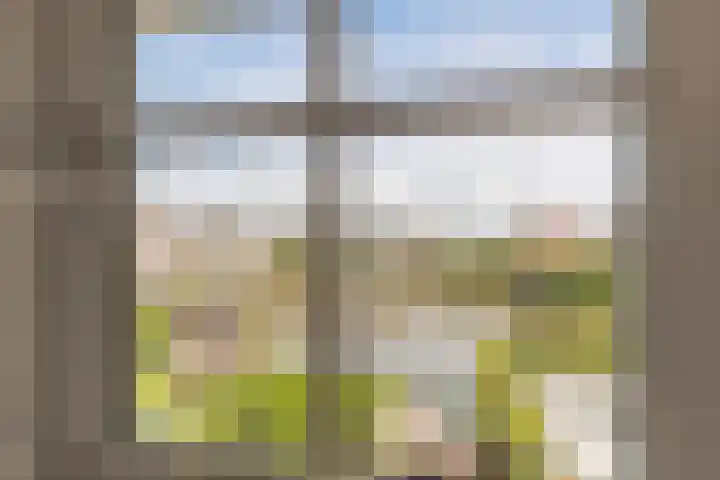 Kruiskamplaan 168 Uitgeest thumbnail 33
