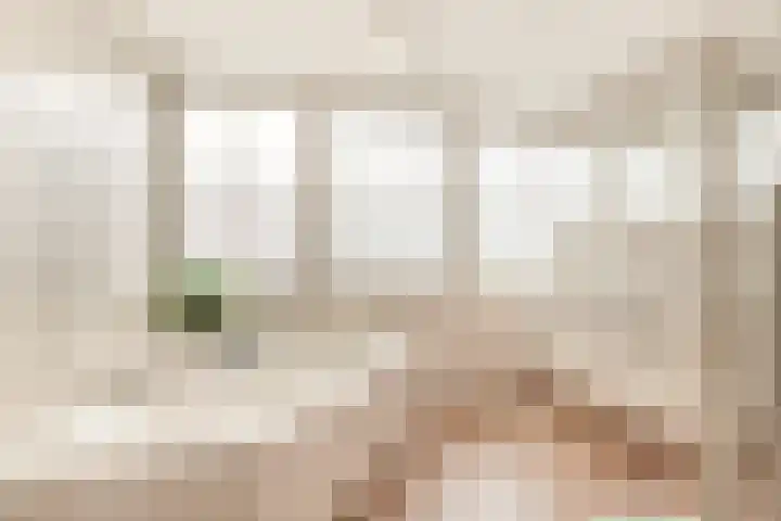 Kruiskamplaan 168 Uitgeest thumbnail 34
