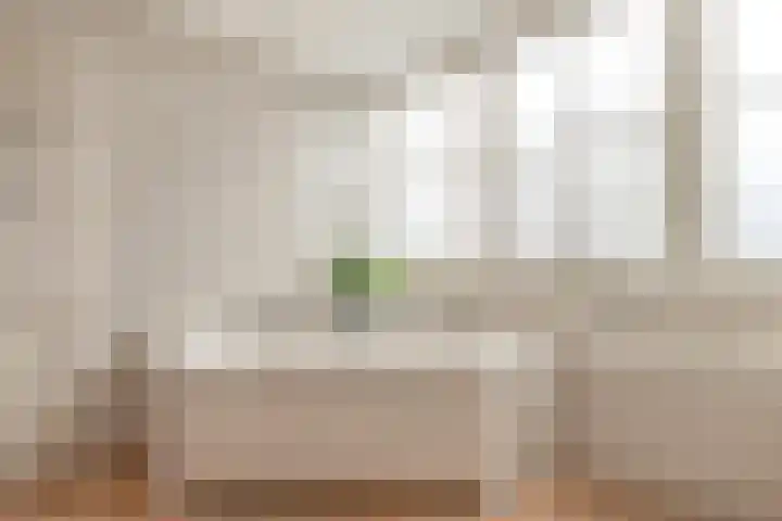 Kruiskamplaan 168 Uitgeest thumbnail 36