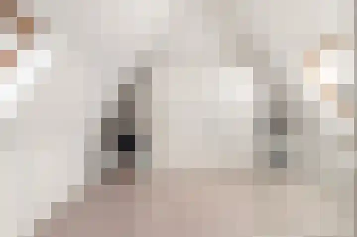 Kruiskamplaan 168 Uitgeest thumbnail 38