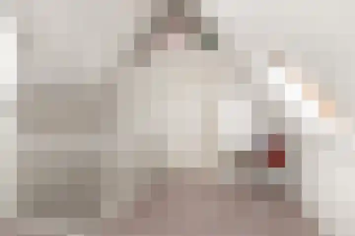 Kruiskamplaan 168 Uitgeest thumbnail 39
