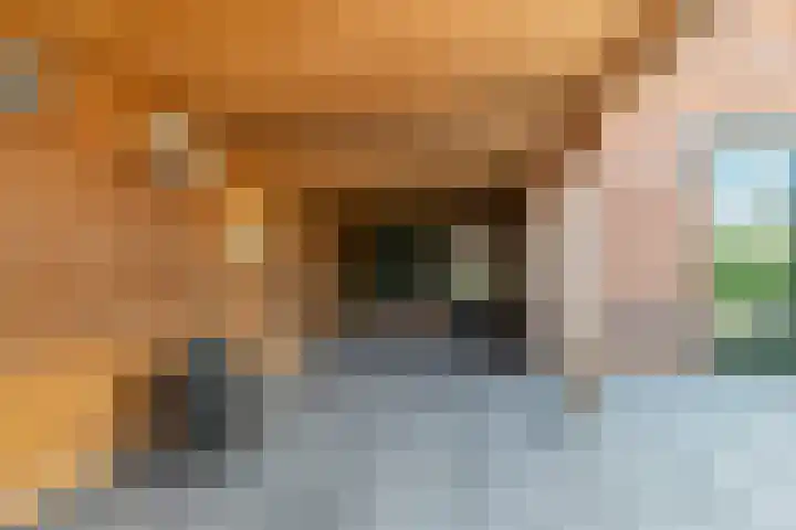 Kruiskamplaan 168 Uitgeest thumbnail 48