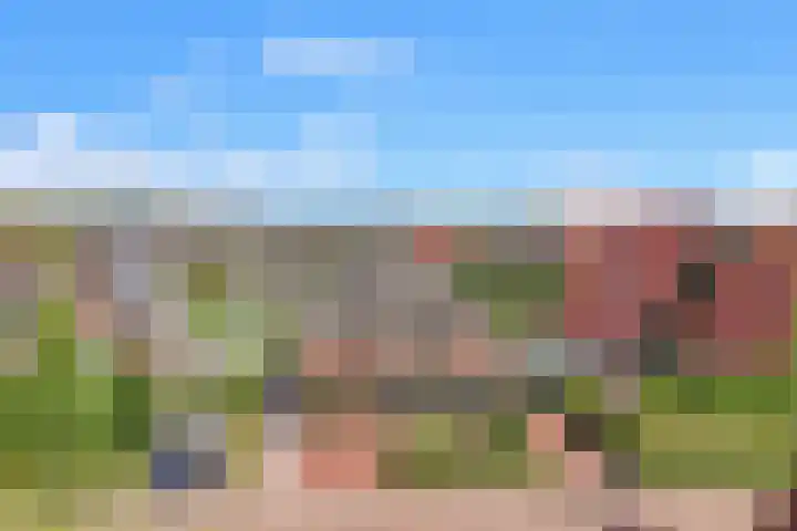 Kruiskamplaan 168 Uitgeest thumbnail 49