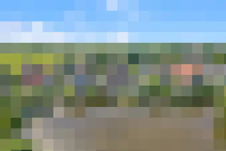 Kruiskamplaan 168 Uitgeest thumbnail 50