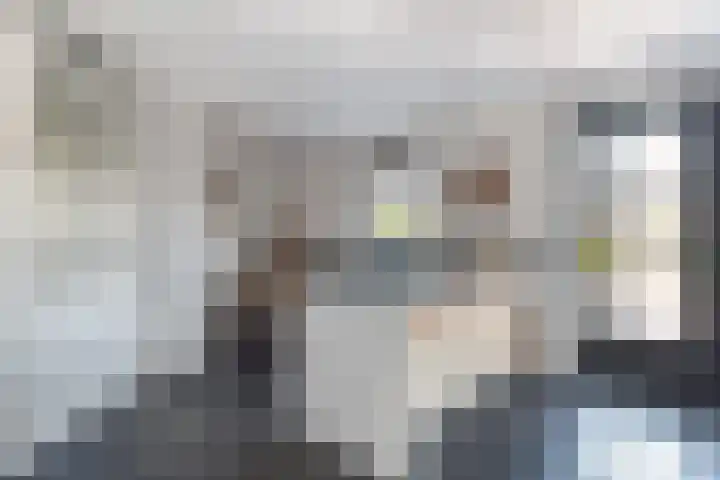 Kruiskamplaan 168 Uitgeest thumbnail 8