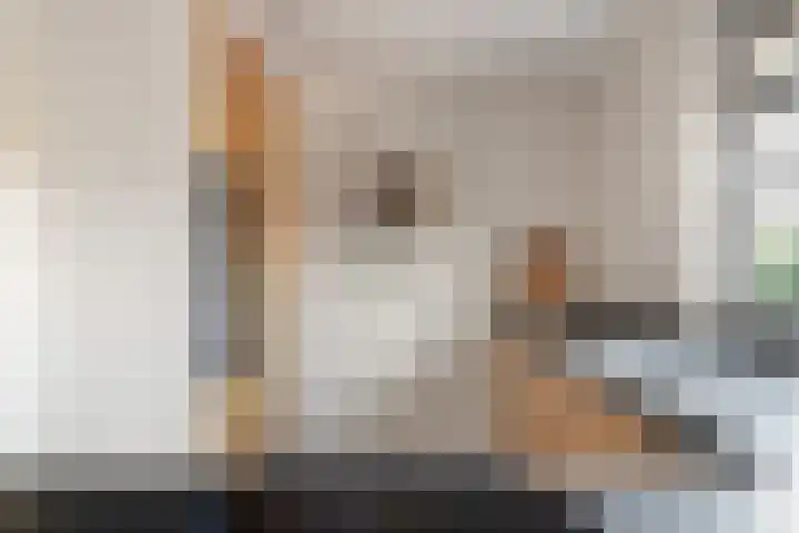 Kruiskamplaan 168 Uitgeest thumbnail 9