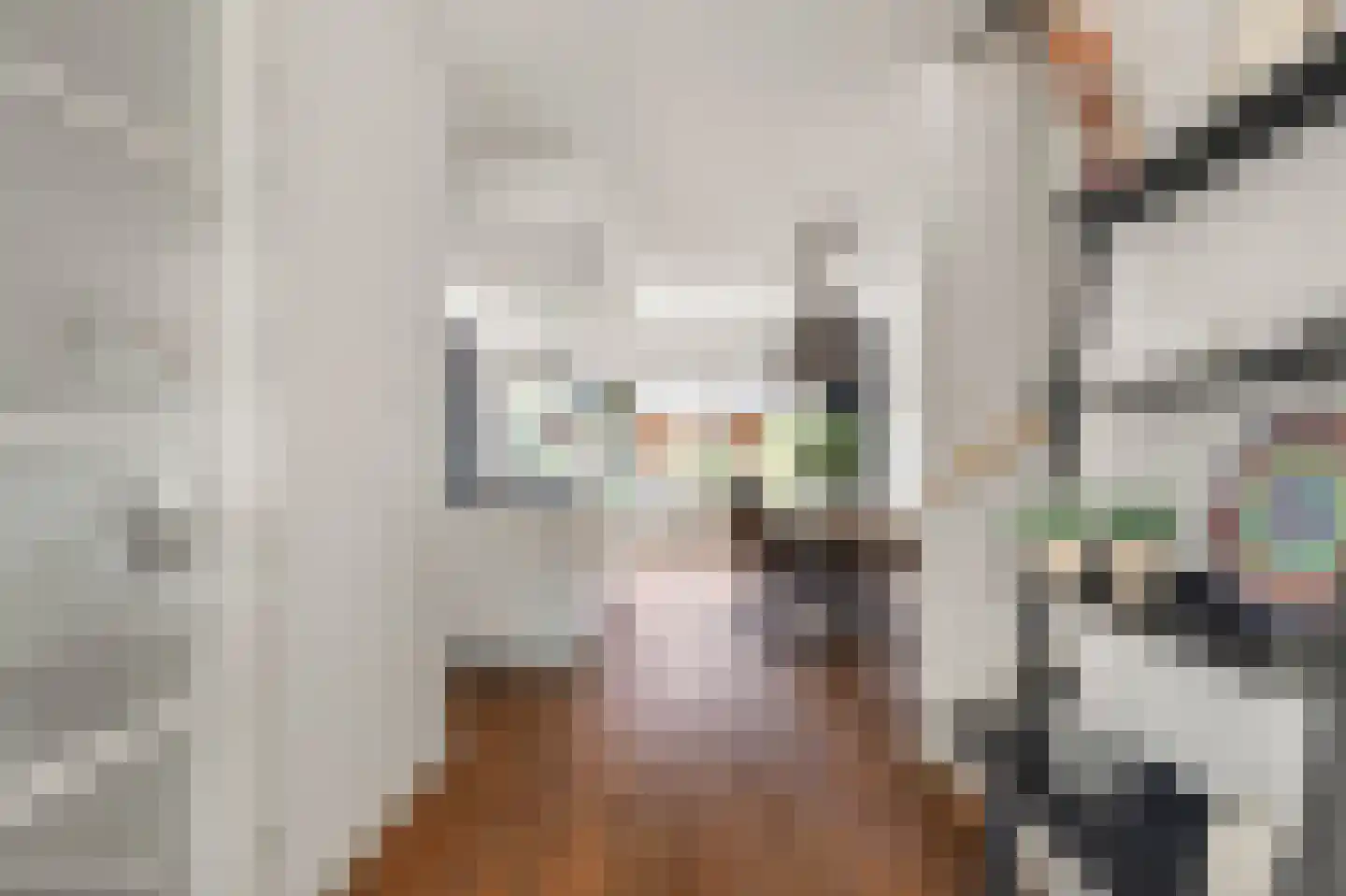 Kruiskamplaan 26 Uitgeest thumbnail 10