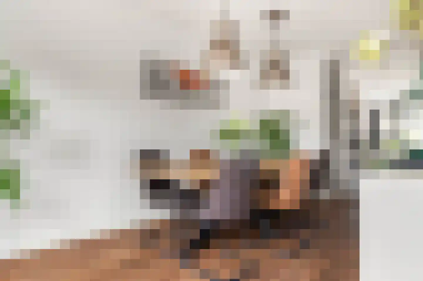 Kruiskamplaan 26 Uitgeest thumbnail 17