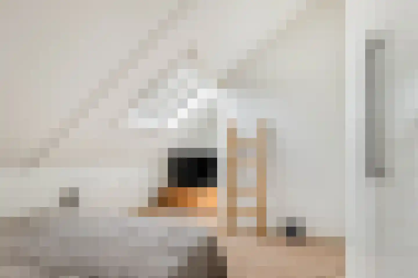 Kruiskamplaan 26 Uitgeest thumbnail 34