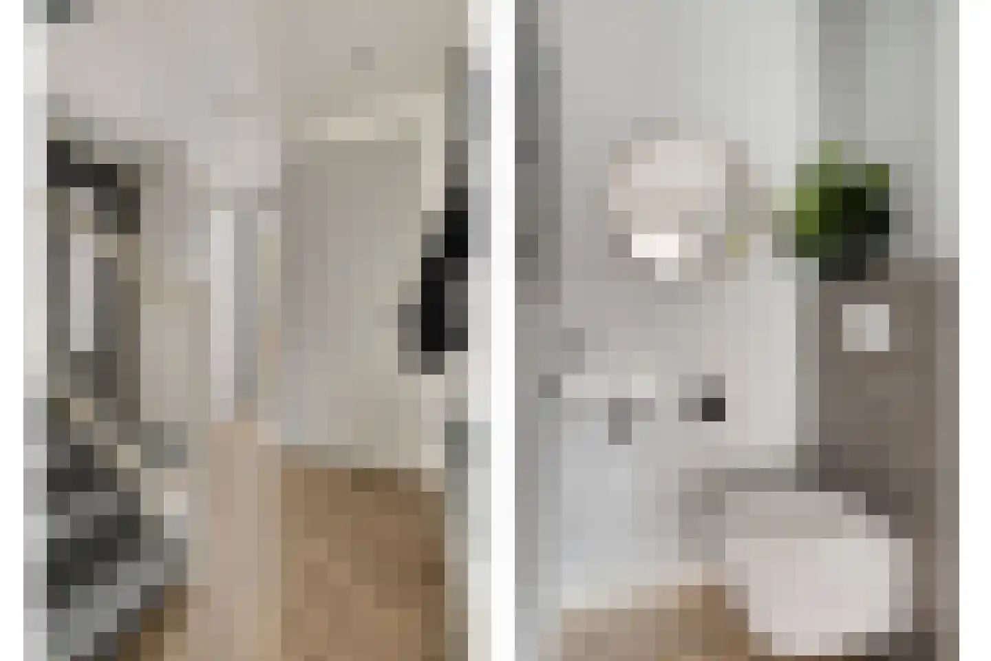 Kruiskamplaan 35 Uitgeest thumbnail 13