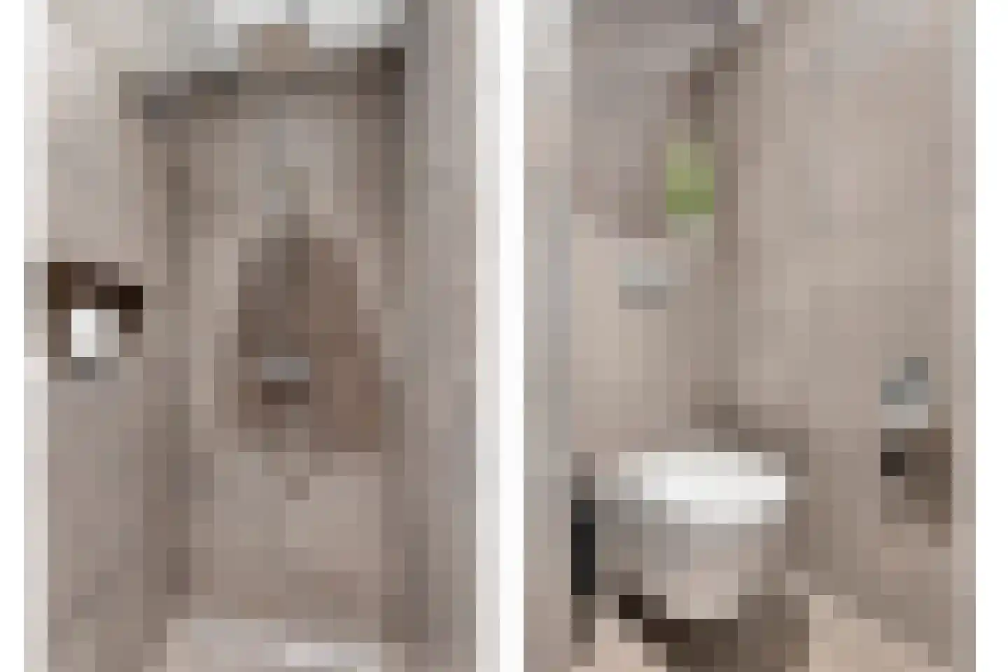 Kruiskamplaan 35 Uitgeest thumbnail 20