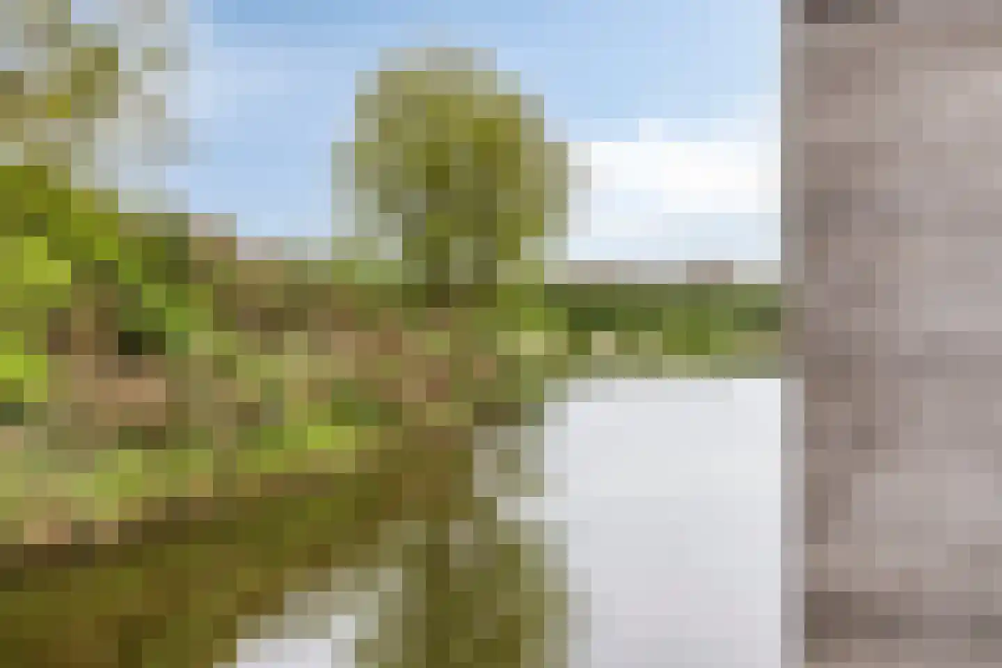 Kruiskamplaan 35 Uitgeest thumbnail 33