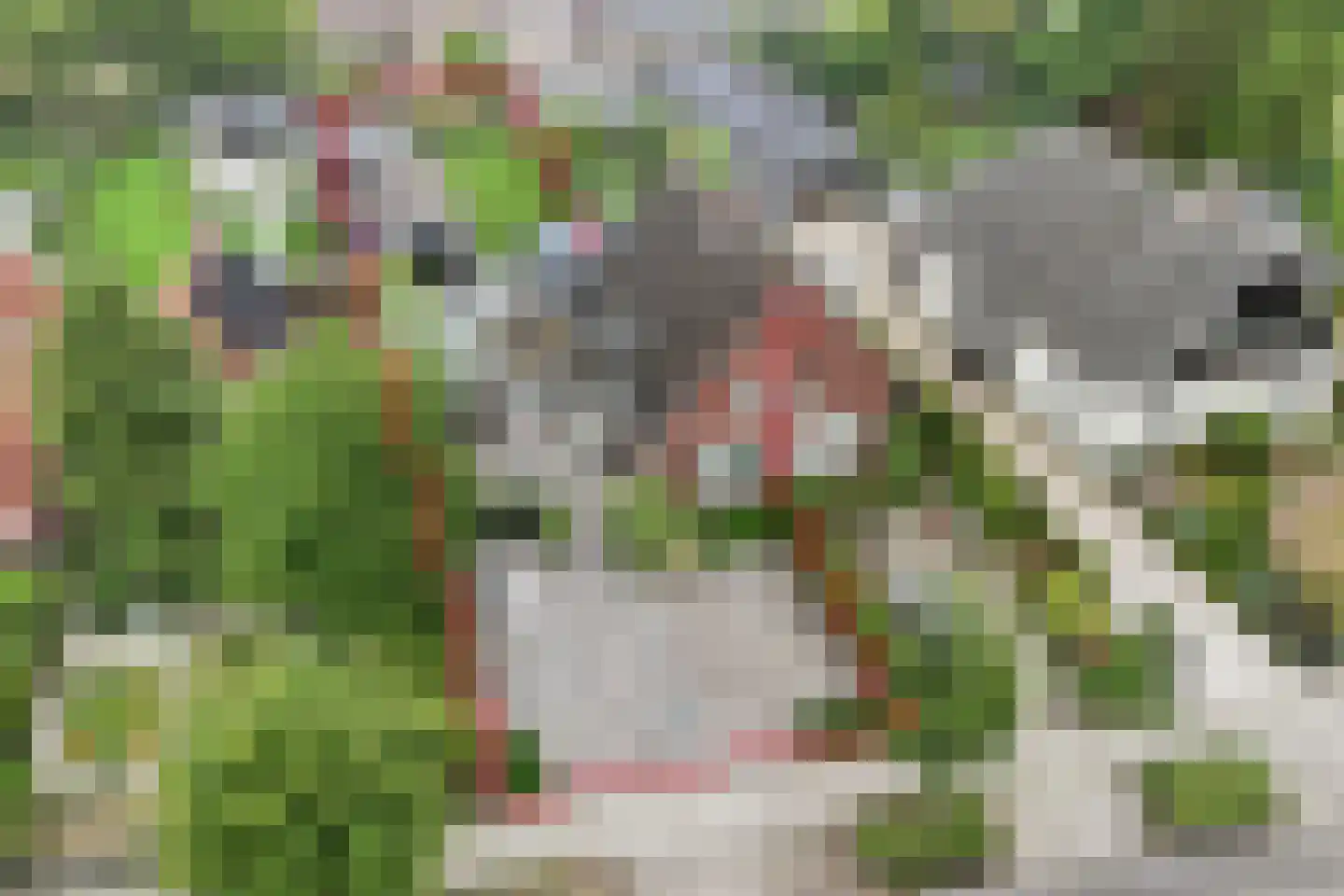 Kruiskamplaan 37 Eibergen thumbnail 8