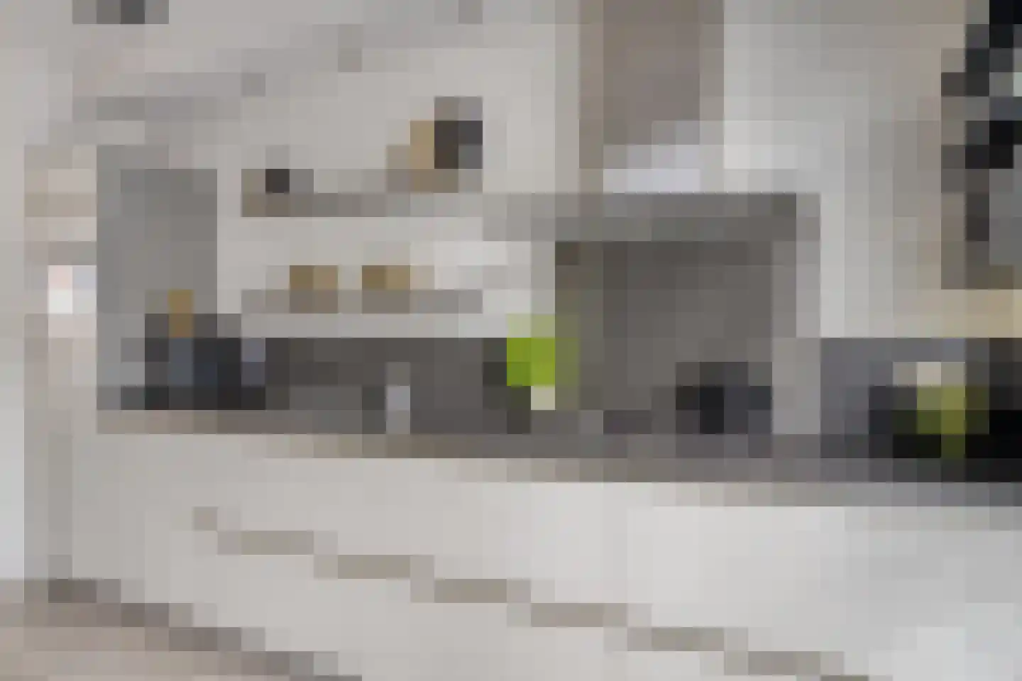 Kruiskamplaan 46 Uitgeest thumbnail 10