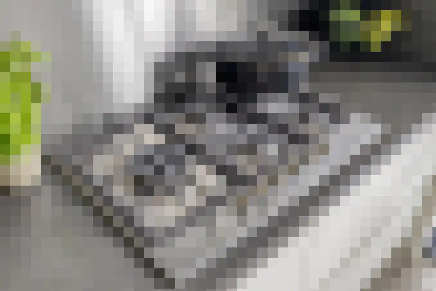 Kruiskamplaan 46 Uitgeest thumbnail 13
