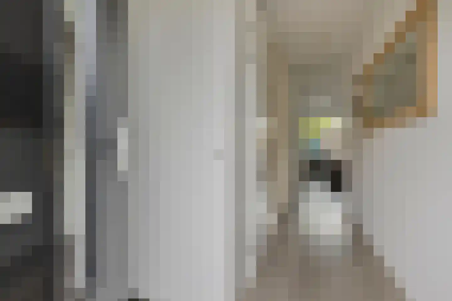 Kruiskamplaan 46 Uitgeest thumbnail 14