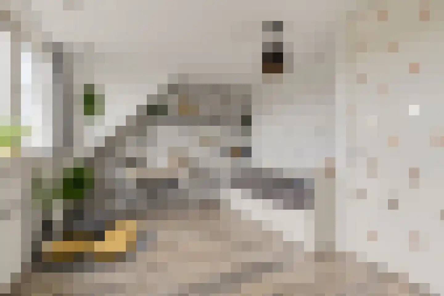 Kruiskamplaan 46 Uitgeest thumbnail 25