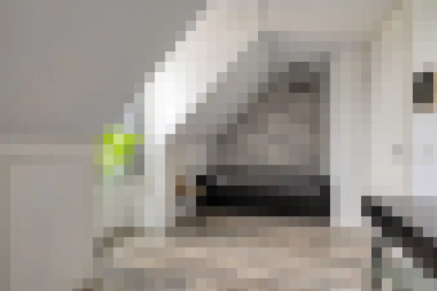 Kruiskamplaan 46 Uitgeest thumbnail 26