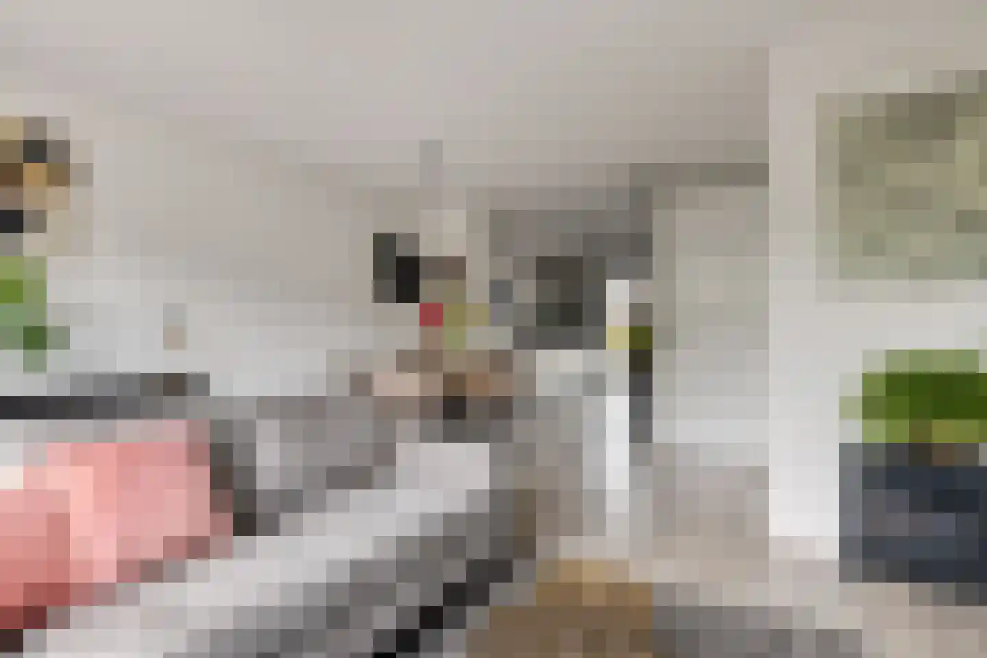 Kruiskamplaan 46 Uitgeest thumbnail 6