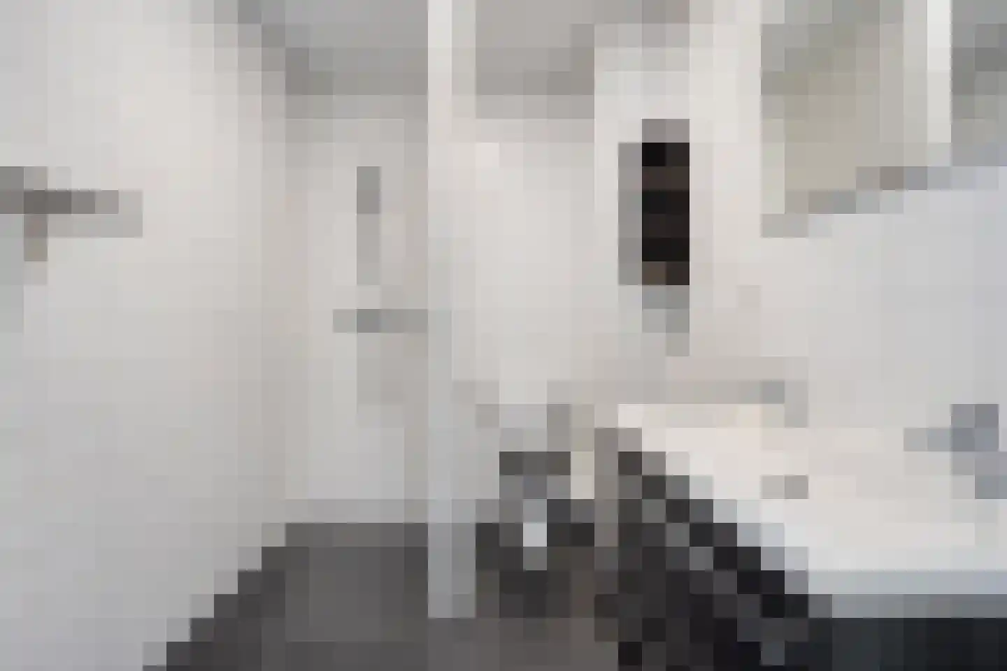 Kruiskamplaan 54 Uitgeest thumbnail 17