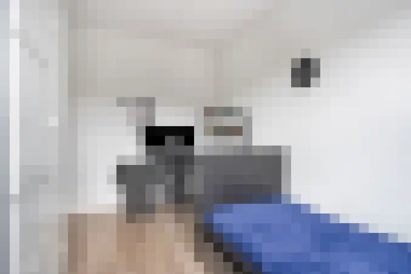 Kruiskamplaan 54 Uitgeest thumbnail 19