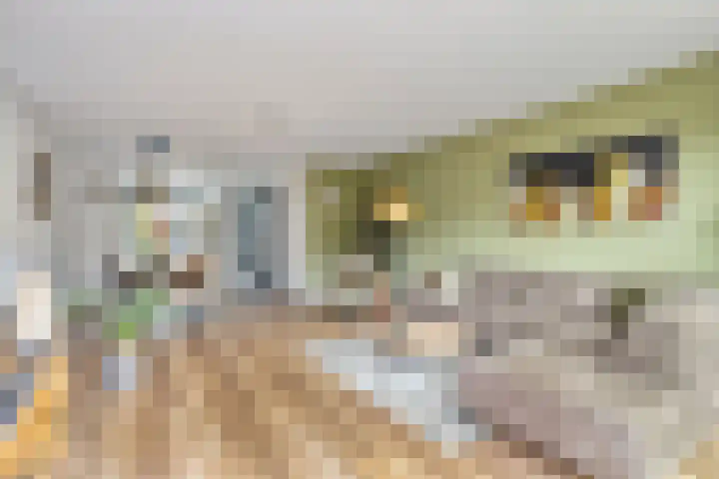 Kruiskamplaan 54 Uitgeest foto 2