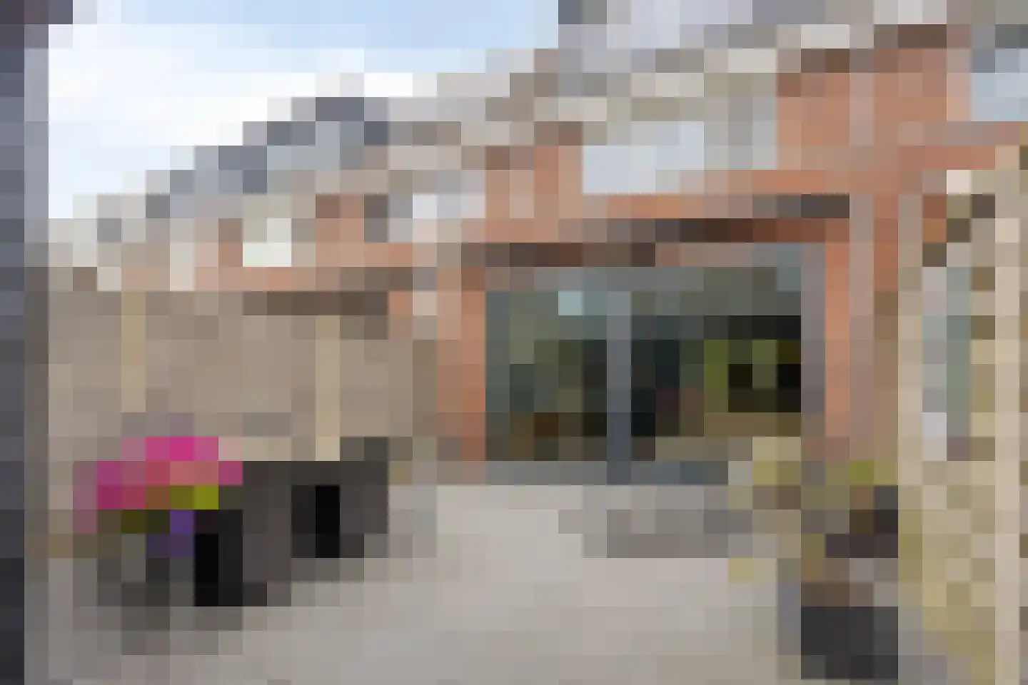 Kruiskamplaan 54 Uitgeest thumbnail 26