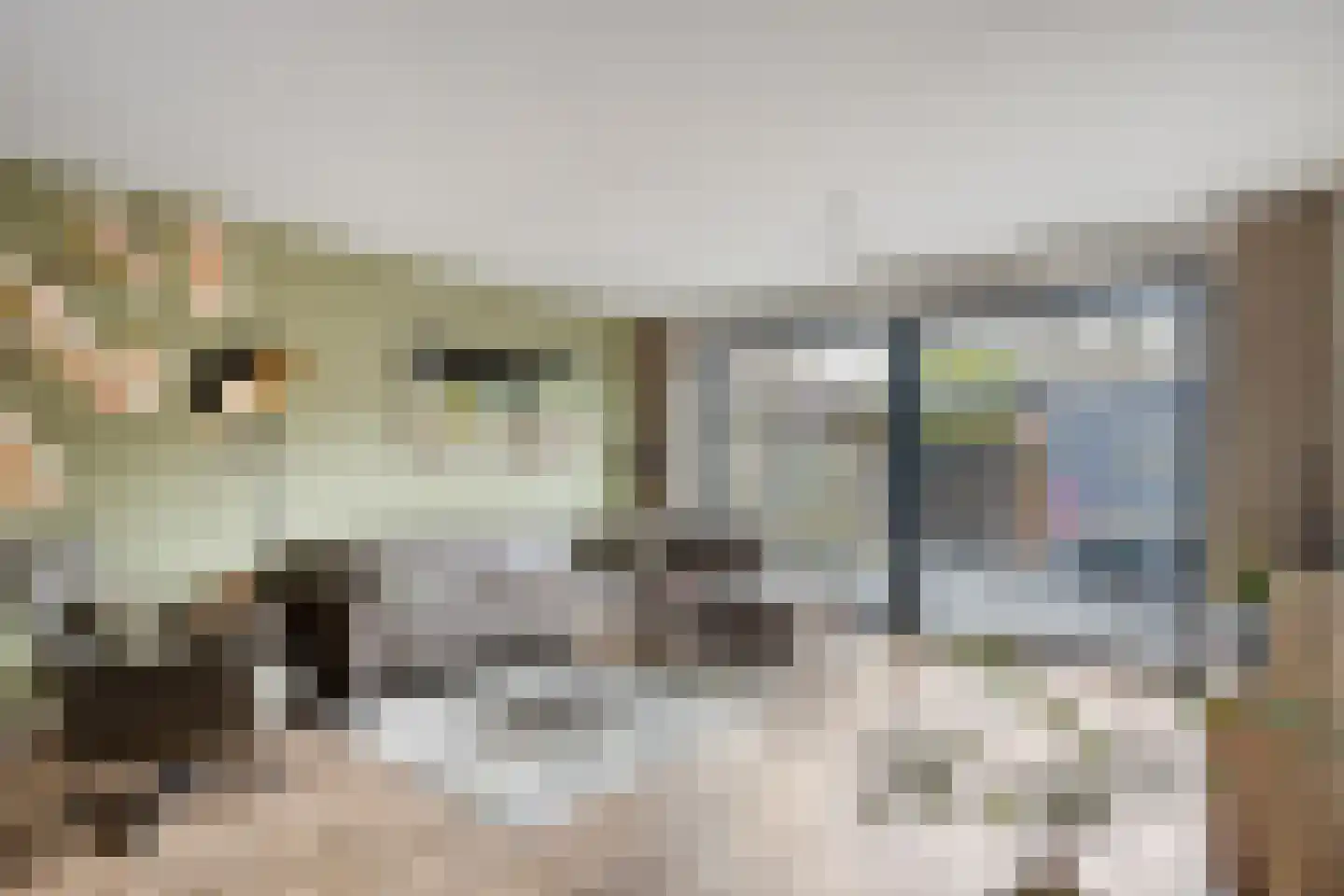 Kruiskamplaan 54 Uitgeest thumbnail 5