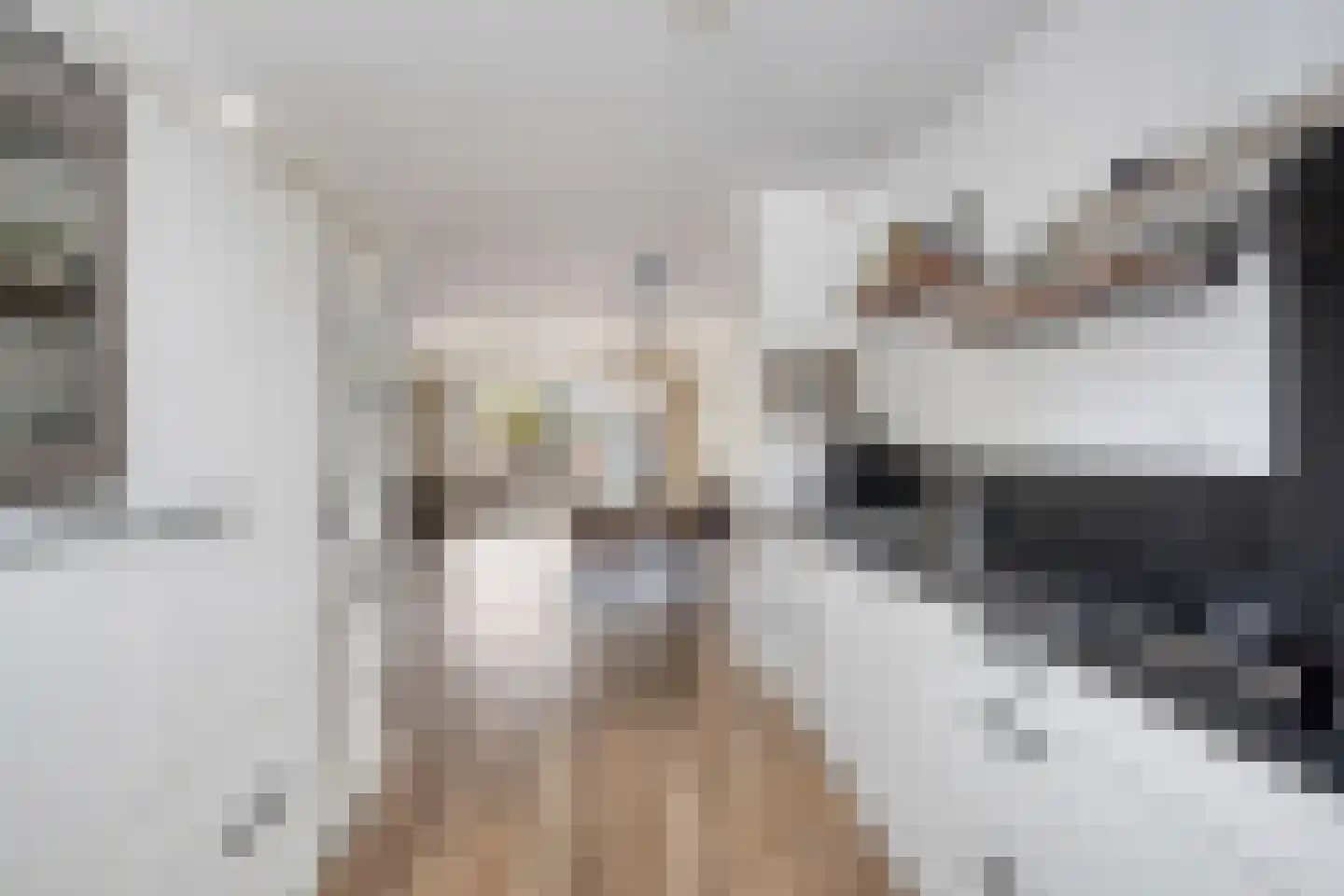 Kruiskamplaan 54 Uitgeest thumbnail 9