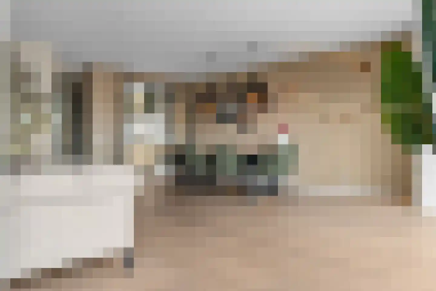 Kruiskamplaan 67 Uitgeest thumbnail 14