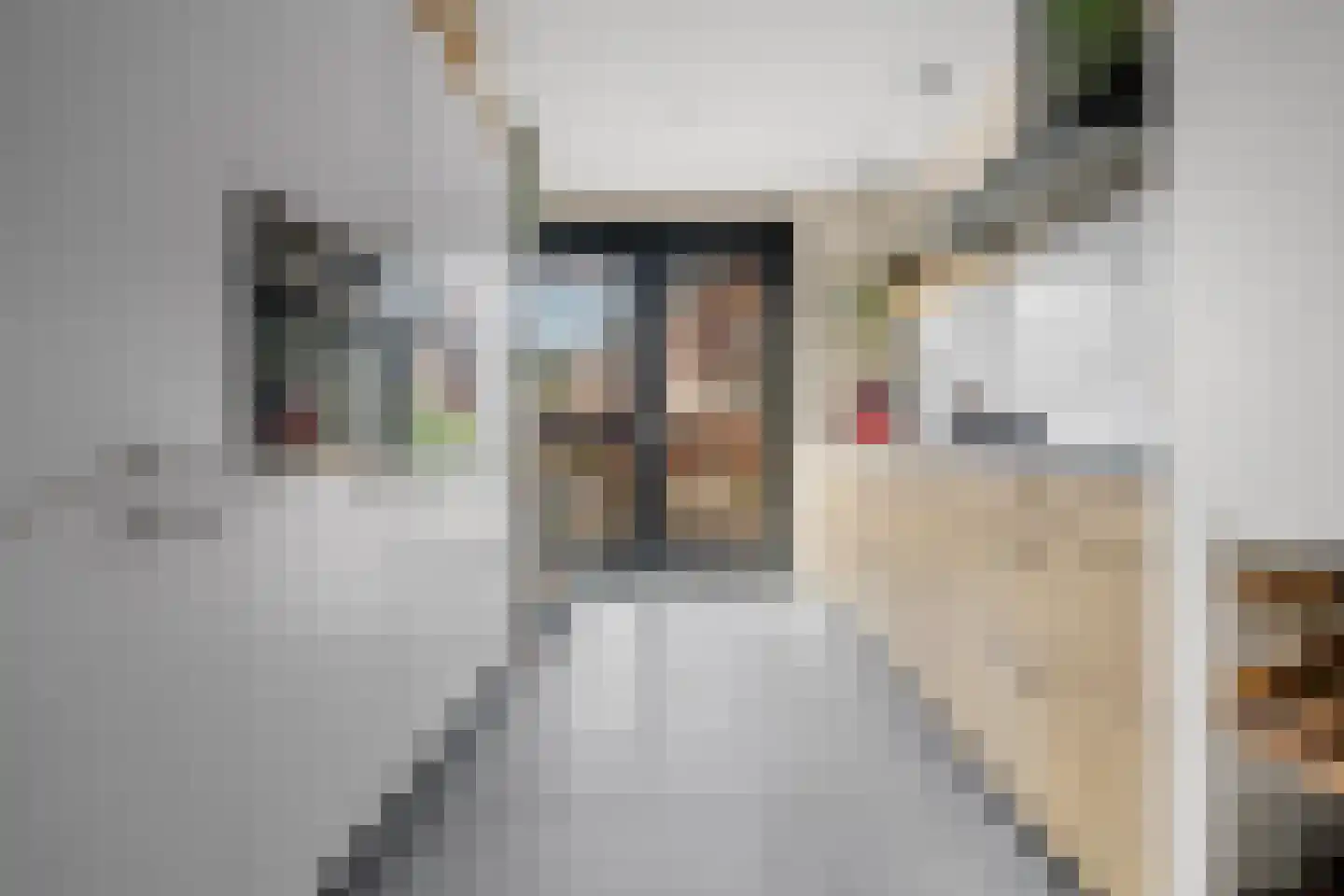Kruiskamplaan 67 Uitgeest thumbnail 22