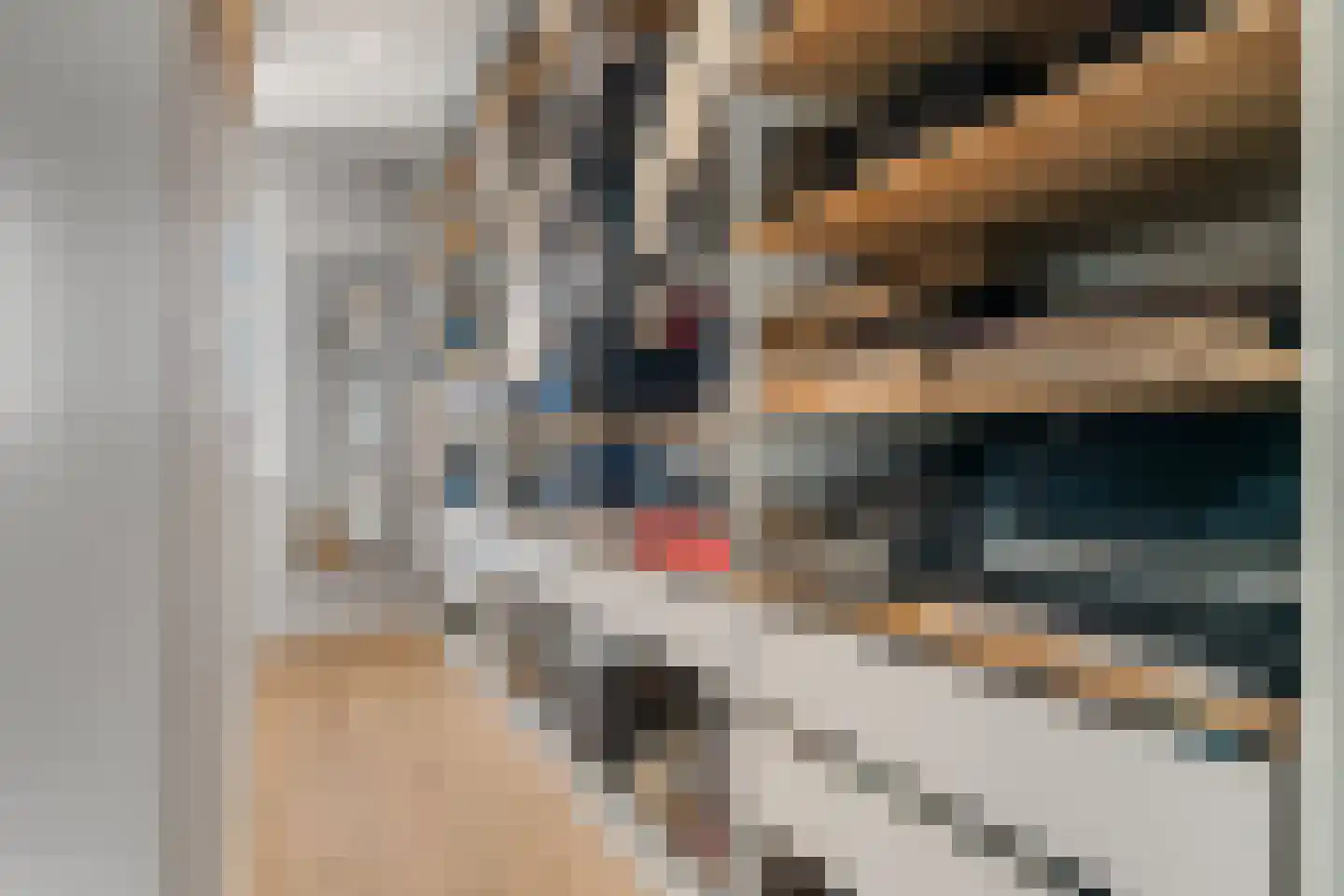 Kruiskamplaan 67 Uitgeest thumbnail 45